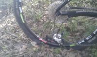 2011-04-27_Derailleur_kapot_Scalpel