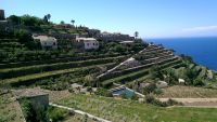 2015-04-26_mallorca_2